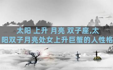 太阳 上升 月亮 双子座,太阳双子月亮处女上升巨蟹的人性格